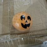 TOP I VOGEL PLASTIKE 1/1