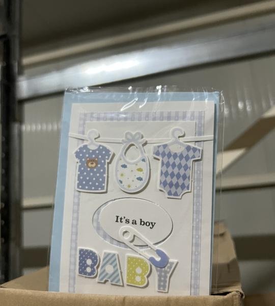 Kartoline Boy / Girl 17*11.5cm (1080)