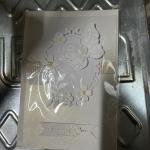 Kartoline 17*11.5cm (612)