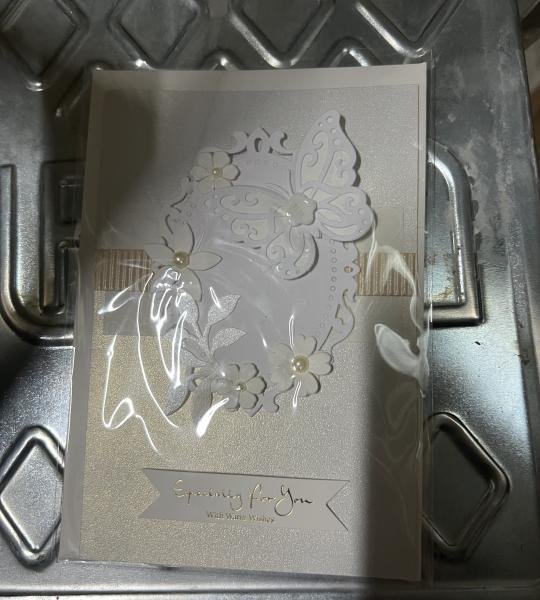 Kartoline 17*11.5cm (612)