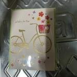 Kartoline Wish (1440)