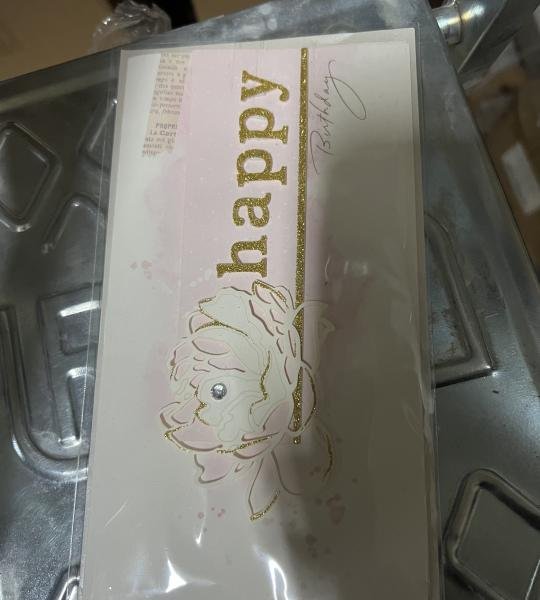 Kartoline Wish 21*11.5cm (960)