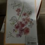 Kartoline Lule 21*14cm (960)